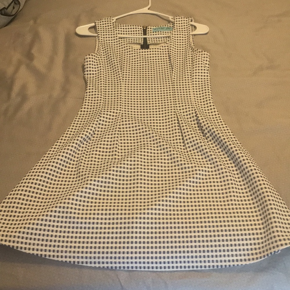 Francesca's Dress